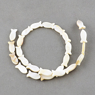 Natural Sea Shell Beads Strands, Fish, Creamy White, 16x8~9x3mm, Hole: 0.8~0.9mm, about 25pcs/strand, 14.9 inch(X-SSHEL-Q296-39)