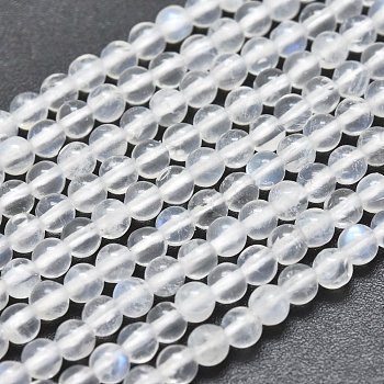 Natural Rainbow Moonstone Beads Strands, Round, 3mm, Hole: 0.5mm, about 130pcs/Strand, 15.35 inch(39cm)