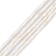 Natural Freshwater Shell Dyed Beads Strands(X-SHEL-M018-12-12)-2