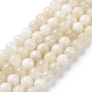Natural White Moonstone Beads Strands, Round, 8mm, Hole: 1mm, about 47pcs/strand, 15.55 inch(39.5cm)(G-F674-08-8mm-01)