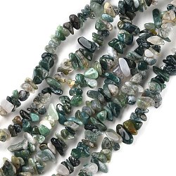 Natural Moss Agate Beads Strands, Chip, 1.5~4.5x3~13x2.5~8mm, Hole: 0.6mm, 30.94~31.97 inch(78.6~81.2cm)(G-G0003-B24)