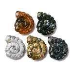 Natural Indian Agate Pendants, Top-Drilled Two-Sided Carved Nautilus, 29x25x9.5mm, Hole: 1mm(G-NH0065-01J)