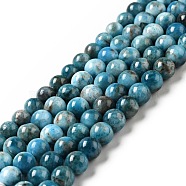 Natural Apatite Beads Strands, Round, 7~7.5mm, Hole: 1mm, about 59pcs/strand, 14.96 inch(38cm)(G-G858-02B)