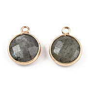 Natural Labradorite Charms, Faceted, with Golden Plated Brass Edge and Loop, Flat Round, 14.5x11.5x4.5mm, Hole: 1.5mm(G-Q998-026E)