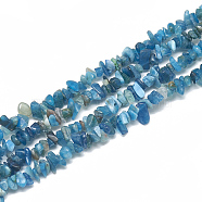 Natural Apatite Beads Strands, Chip, 3~11x3~5x1~4mm, Hole: 1mm, about 380~400pcs/strand, 33 inch(G-S315-24)