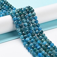 Natural Apatite Beads Strands, Faceted, Round, 5.8mm, Hole: 0.8mm, about 72pcs/strand, 15.43 inch(39.2cm)(G-J400-E01-05)