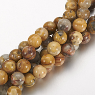 Natural Crazy Lace Agate Round Bead Strands, 8mm, Hole: 1mm, about 24pcs/strand, 7.5 inch(X-G-M272-03-8mm)