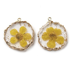Gold Foil Inner Dried Flower Resin Pendants, Flat Round Charms with Light Gold Plated Brass Edge and Iron Loops, Goldenrod, 34~36x30~31.5x4.5~5.5mm, Hole: 2mm(RESI-P028-01KCG-03)