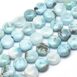 Natural Larimar Beads Strands, Flat Round, 10x5.5mm, Hole: 1.2mm, about 39pcs/Strand, 15.28 inch(38.8cm)(G-F675-08)