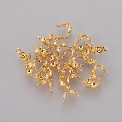 Iron Bead Tips, Calotte Ends, Clamshell Knot Cover, Iron End Caps, Open Clamshell, Golden, 7.5x4mm, Hole: 1mm, Inner Diameter: 3mm(IFIN-ZX020-G)