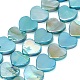 Natural Freshwater Shell Beads Strands(SH-CBA93AD-06A)-1