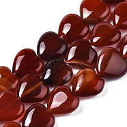 Natural Red Agate Beads Strands, Heart, 14~15x14~15x5~7mm, Hole: 1.2mm, about 26pcs/strand, 14.76 inch(37.5cm)(G-S364-097)