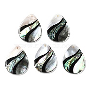 Natural Freshwater Shell & Black Lip Shell & Paua Shell & Natural White Shell Pendants, Teardrop Charms, Seashell Color, 33x25.5x3.5mm, Hole: 1.2mm(BSHE-G034-05)