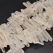 Nuggets Frosted Natural Quartz Crystal Bead Strands, 12~40x5~8mm, Hole: 1mm, about 53~82pcs/strand, 15.5 inches(G-F289-25)