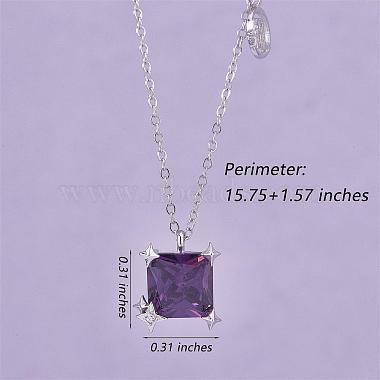925 Sterling Silver Zircon Pendant Necklace 12 Constellation Pendant Necklace Jewelry Anniversary Birthday Gifts for Women Men(JN1088K)-2
