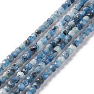 Natural Devil Blue Aquamarine Beads Strands, Faceted, Cube, 4x4mm, Hole: 0.8mm, about 97pcs/strand, 15.35 inch(39cm)(G-F717-16A)