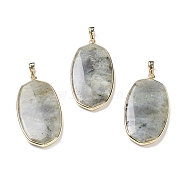 Natural Labradorite Pendants, with Rack Plating Light Gold Tone Brass Findings, Cadmium Free & Lead Free, Oval Charms, 48x22x4.5mm, Hole: 8x5mm(G-K338-05B)