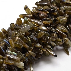 Natural Labradorite Chip Beads Strands, 8~30x5~12mm, Hole: 1mm, about 15.3 inch~15.7 inch(G-E271-17)