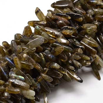 Natural Labradorite Chip Beads Strands, 8~30x5~12mm, Hole: 1mm, about 15.3 inch~15.7 inch