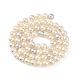 Electroplated Natural Freshwater Shell Beads Strands(BSHE-G036-22)-2