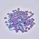 Ornement accessoires plastique paillette / paillettes perles(X-PVC-F002-C06)-1