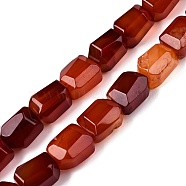 Natural Red Agate Beads Strands, Faceted, Nuggets, 16~17x12~13.5x10.5~13mm, Hole: 1.2mm, about 13pcs/strand, 8.46~8.66 inch(21.5~22cm)(G-N342-148A)