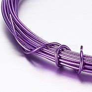 Round Aluminum Wire, Bendable Metal Craft Wire, for Beading Jewelry Craft Making, Purple, 17 Gauge, 1.2mm, 10m/roll(32.8 Feet/roll)(AW-D009-1.2mm-10m-11)