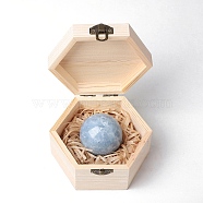 Natural Kyanite Round Ball Display Decorations with Wooden Box, Figurine Home Decoration, Reiki Energy Stone for Healing, 50mm(PW-WG82916-03)