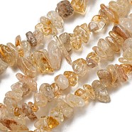 Natural Citrine Chip Beads, 5~8mm, Hole: 0.3mm, about 32~32.5 inch(F091)
