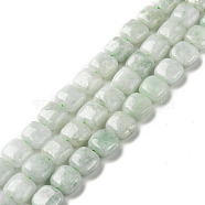 Natural Myanmar Jade Beads Strands, Square, 8.5x8x5mm, Hole: 1mm, about 46pcs/strand, 15.35''(39cm)(G-C238-16A)