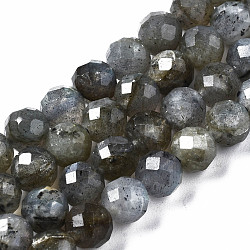 Natural Labradorite Beads Strands, Faceted, Round, 6.5mm, Hole: 1mm, about 63~64pcs/strand, 15.08 inch~15.28 inch(38.3cm~38.8cm)(G-T108-61)