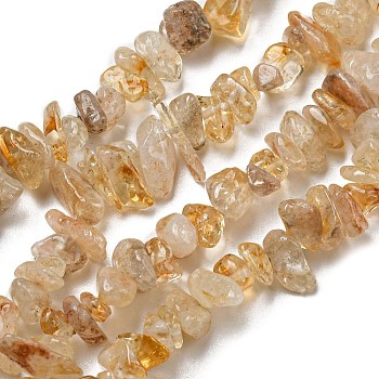 Natural Citrine Chip Beads, 5~8mm, Hole: 0.3mm, about 32~32.5 inch
