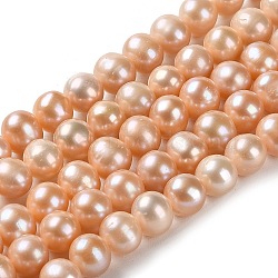 Natural Cultured Freshwater Pearl Beads Strands, Potato, Grade 4A+, Sandy Brown, 7~8x6.5~7mm, Hole: 0.5mm, about 59pcs/strand, 15.43 inch(39.2cm)(PEAR-E018-25)