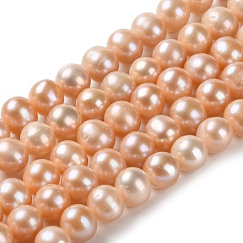Natural Cultured Freshwater Pearl Beads Strands, Potato, Grade 4A+, Sandy Brown, 7~8x6.5~7mm, Hole: 0.5mm, about 59pcs/strand, 15.43 inch(39.2cm)