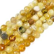 Natural Yellow Opal Beads Strands, Faceted, Round, 6mm, Hole: 1mm, about 61pcs/strand, 15.55 inch(39.5cm)(G-L597-C05-05)