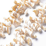 Natural Puka Shell Bead Strands, Nuggets, Bisque, 12~39x6~20mm, Hole: 1.2mm, about 30~32pcs/strand, 6.89 inch~7.48 inch(17.5~19cm)(SSHEL-N034-109)