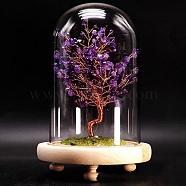 Natural Amethyst Display Decoration, with Brass Wire, for Home Desk Decorations, Tree of Life Cloche Bell Jar, 80x130mm(TREE-PW0001-22F)