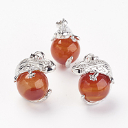 Natural Carnelian/Red Agate Pendants, with Brass Findings, Lizard, Dyed & Heated, Platinum, 28x20.5x16mm, Hole: 5x8mm(G-G713-I09)