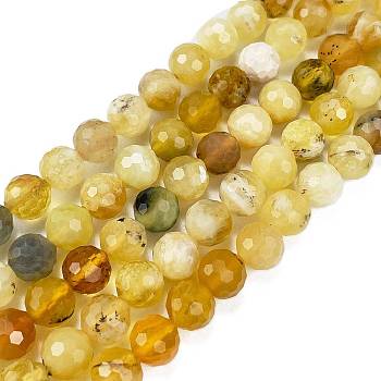 Natural Yellow Opal Beads Strands, Faceted, Round, 6mm, Hole: 1mm, about 61pcs/strand, 15.55 inch(39.5cm)