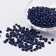 Opaque Glass Seed Beads(SEED-R032-A01)-1