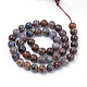 Natural Pietersite Beads Strands(G-R446-12mm-13)-2