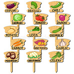 Wood Plant Labels, for Seed Potting, Herbs, Flowers, Vegetables, Name, Vegetables, 70x50x3mm, 15pcs/set(WOOD-WH0500-009)