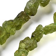 Raw Rough Natural Peridot Beads Strands, Nuggets, 8.5~13.5x6.5~9x5~7mm, Hole: 0.9mm, about 18~21pcs/strand, 7.28''~7.87''(18.5~20cm)(G-P528-B05-02)