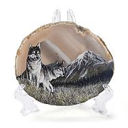 Printed Natural Agate Slice Stone Ornament, for Good Luck Home Office Decor, Wolf, 95~135x95~135x6.5~9mm(DJEW-M011-03D)