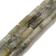 Natural Labradorite Beads Strands, Rectangle, 13~13.5x4~4.5x4~4.5mm, Hole: 1.2mm, about 29pcs/strand, 15.24''(38.7cm)(G-G873-A02-01)