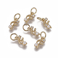 Brass Charms, with Cubic Zirconia and Shell Pearl Bead, Letter, Golden, Clear, Letter.F, 9.5~11x3.5~10.8x3~3.5mm, Hole: 3.5mm(KK-L179-08F-G)