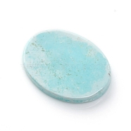 Natural Howlite Cabochons, Dyed & Heated, Oval, 19x14.5x2.5mm(G-F677-11-A)