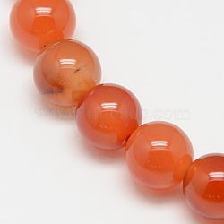 Natural Carnelian Beads Strands, Round, Grade A, 10mm, Hole: 1mm, about 38pcs/strand, 15 inch(X-G-N0006-10mm-17)