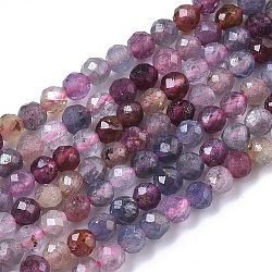 Natural Ruby & Sapphire Beads Strands, Faceted, Round, Random Color, 2~2.5mm, Hole: 0.6mm, about 158pcs/strand, 15.55 inch(39.5cm)(G-R460-024)