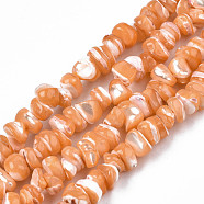 Natural Freshwater Shell Beads Strands, Dyed, Nuggets Chips, Sandy Brown, 2.5~5.5x6~17.5x5~8mm, Hole: 0.8mm, about 92~112pcs/strand, 13.98 inch~16.14 inch(35.5~41cm)(SHEL-N003-23-B06)